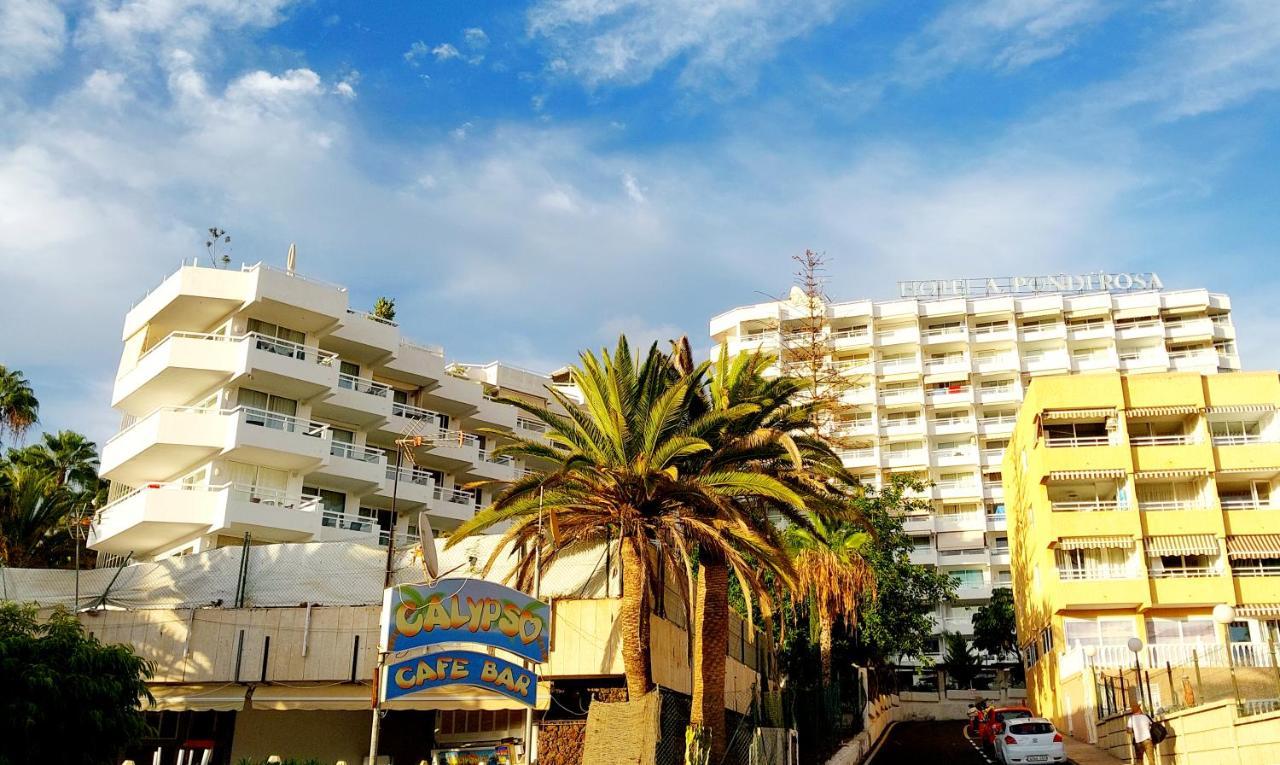 Under The Palm Διαμέρισμα Πλάγια ντε λας Αμέρικας Εξωτερικό φωτογραφία